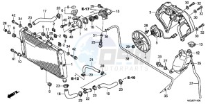 CBF1000FC CBF1000F E drawing RADIATOR