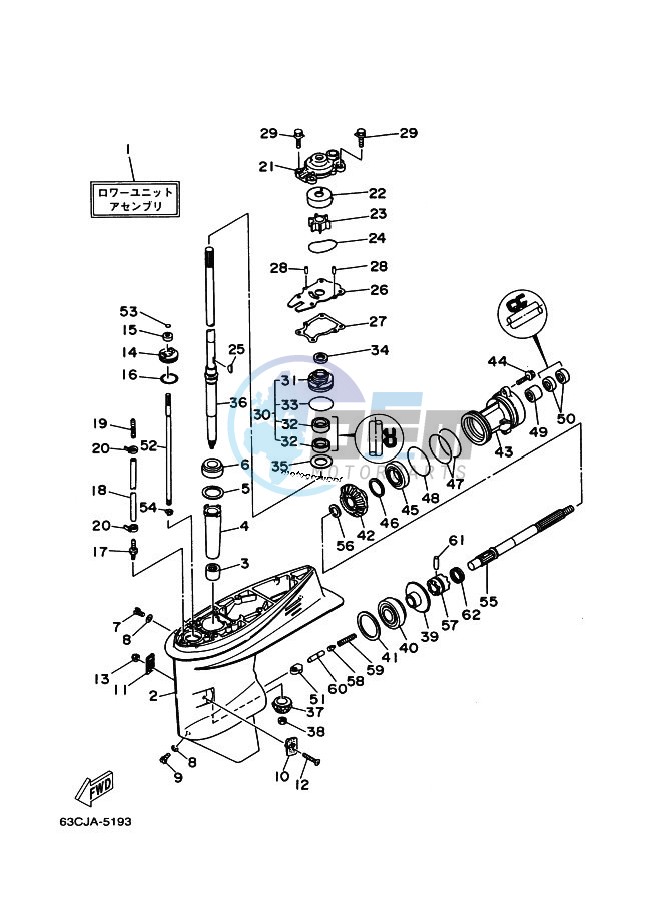 LOWER-CASING-x-DRIVE