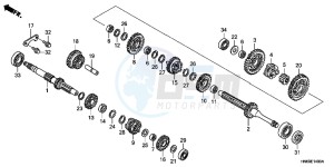 TRX250XC drawing TRANSMISSION