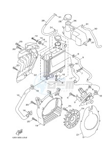 HW125 XENTER 125 (53B5) drawing RADIATOR & HOSE