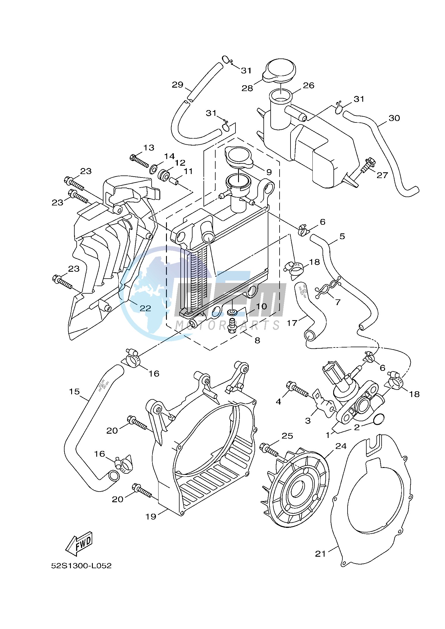 RADIATOR & HOSE