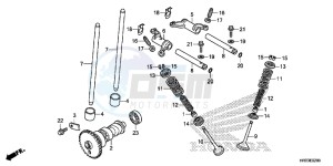 TRX420FM2E TRX420 Europe Direct - (ED) drawing CAMSHAFT/VALVE