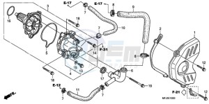 CBR600RAA UK - (E / ABS) drawing WATER PUMP