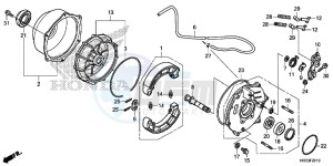 TRX420TE1E TRX420 ED drawing REAR BRAKE PANEL