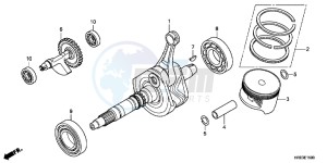 TRX500FPMC drawing CRANK SHAFT/ PI STON