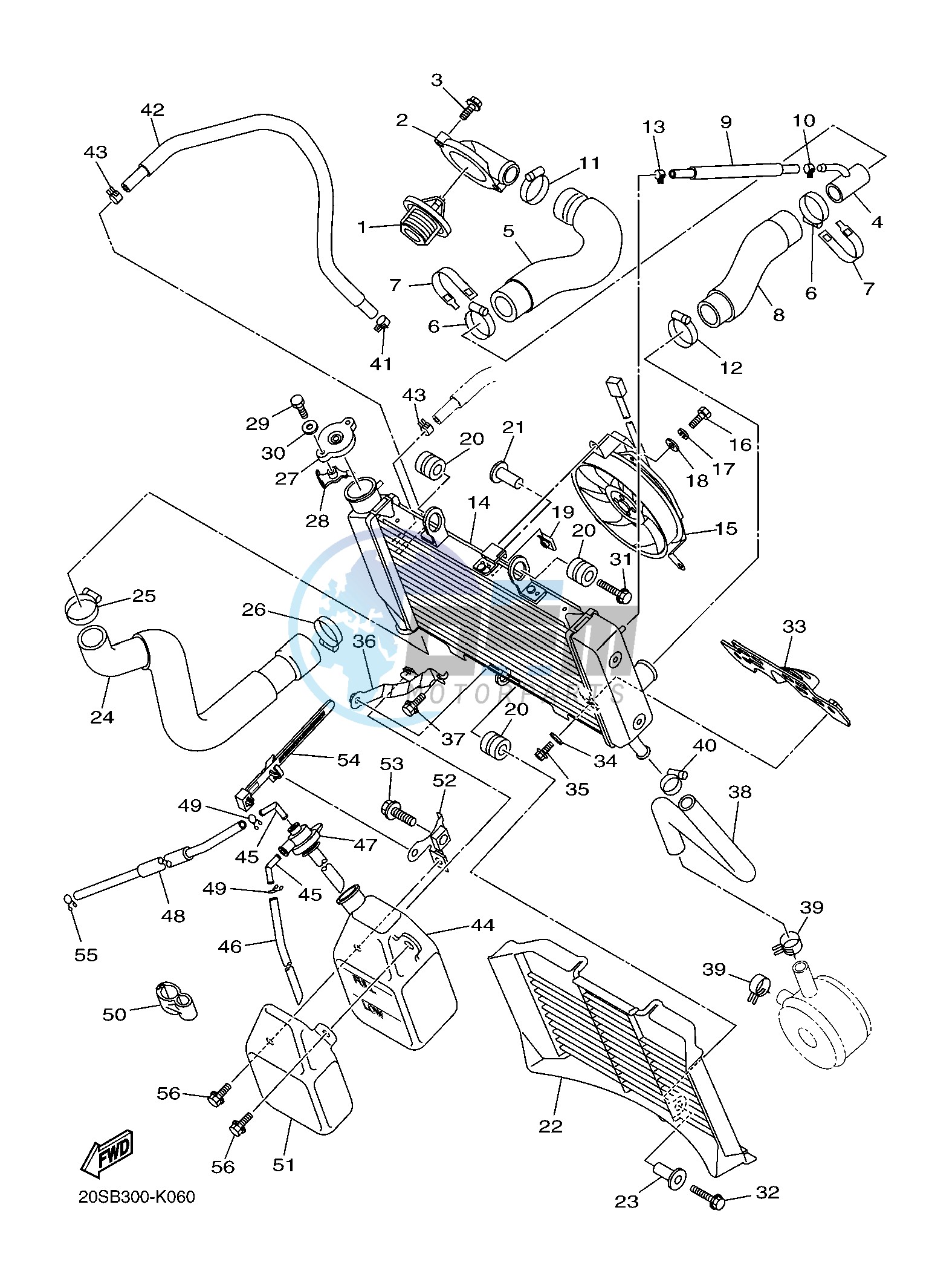 RADIATOR & HOSE