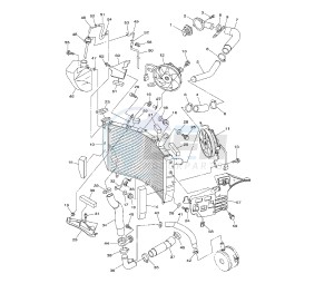 YZF R6 50TH 600 drawing RADIATOR AND HOSE