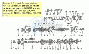 Nevada 350 Club Club drawing Gear box