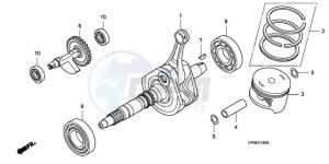 TRX420FMA Europe Direct - (ED / 4WD) drawing CRANK SHAFT/PISTON