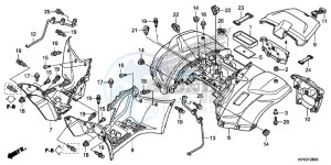 TRX420FPMD TRX420 Europe Direct - (ED) drawing REAR FENDER