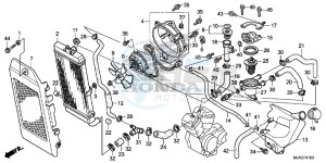 VT750CSE Shadow - VT750CS-E UK - (E) drawing RADIATOR (VT750CS/ C2B/ C2S/ C)