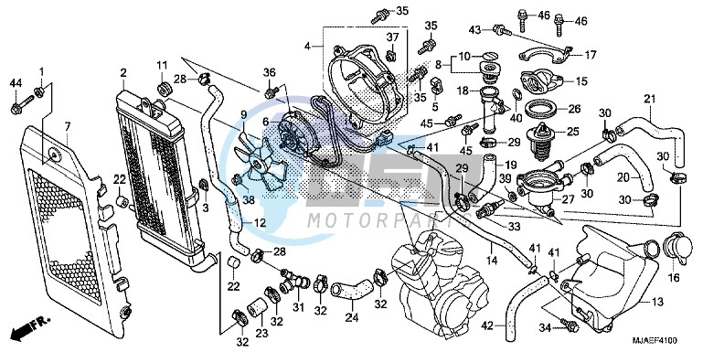 RADIATOR (VT750CS/ C2B/ C2S/ C)