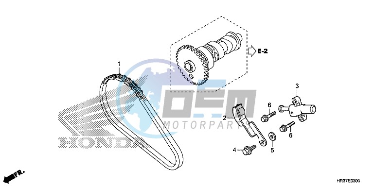 CAM CHAIN/TENSIONER