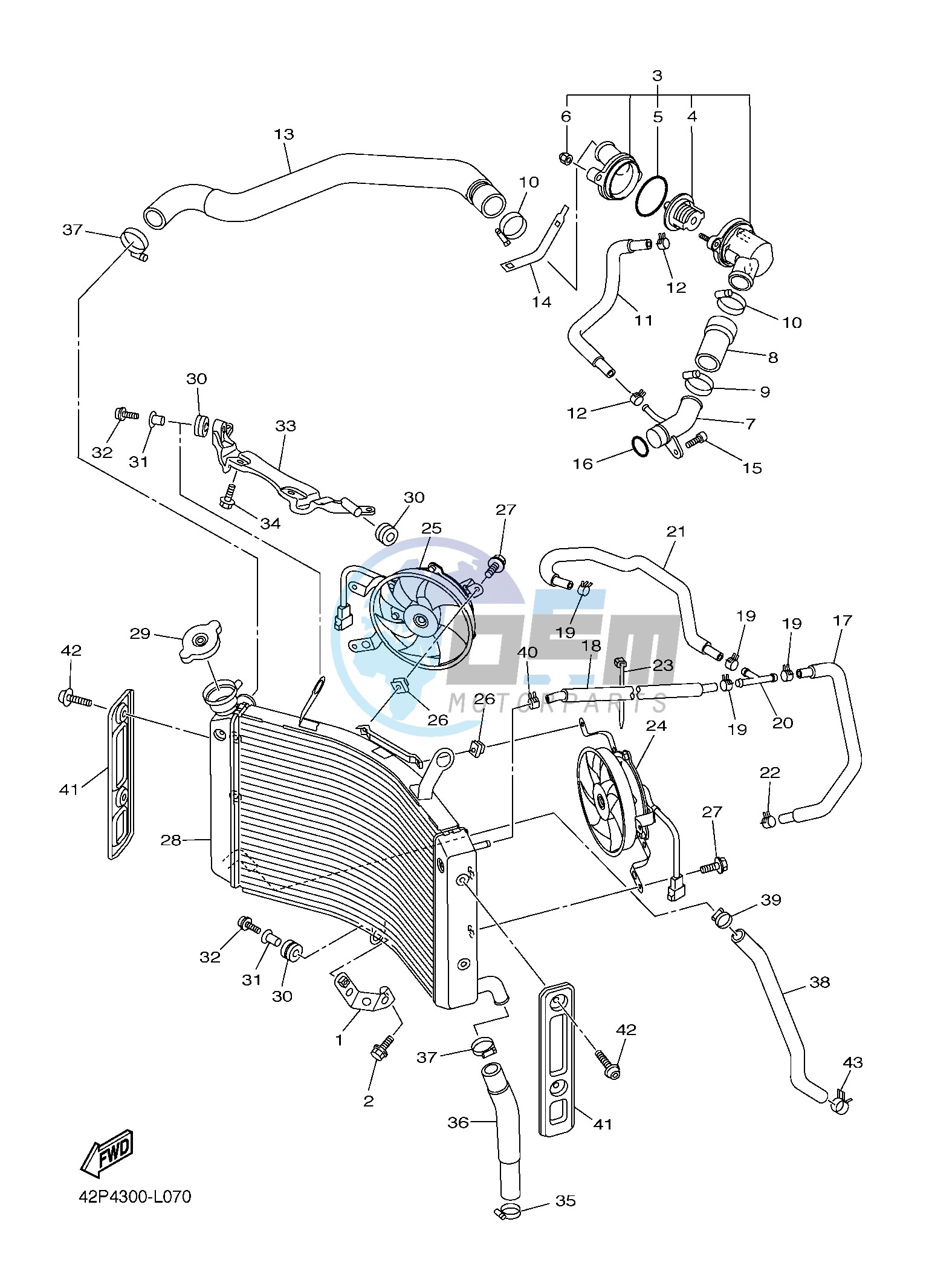 RADIATOR & HOSE