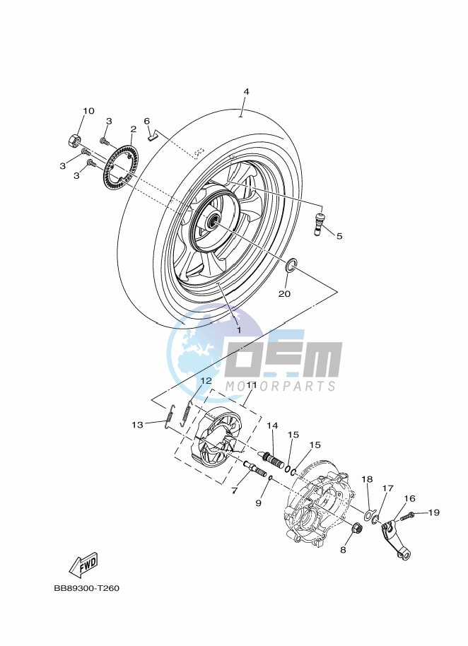 CAMSHAFT & CHAIN