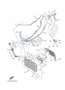 MWD300 TRICITY 300 (BX91) drawing RADIATOR & HOSE