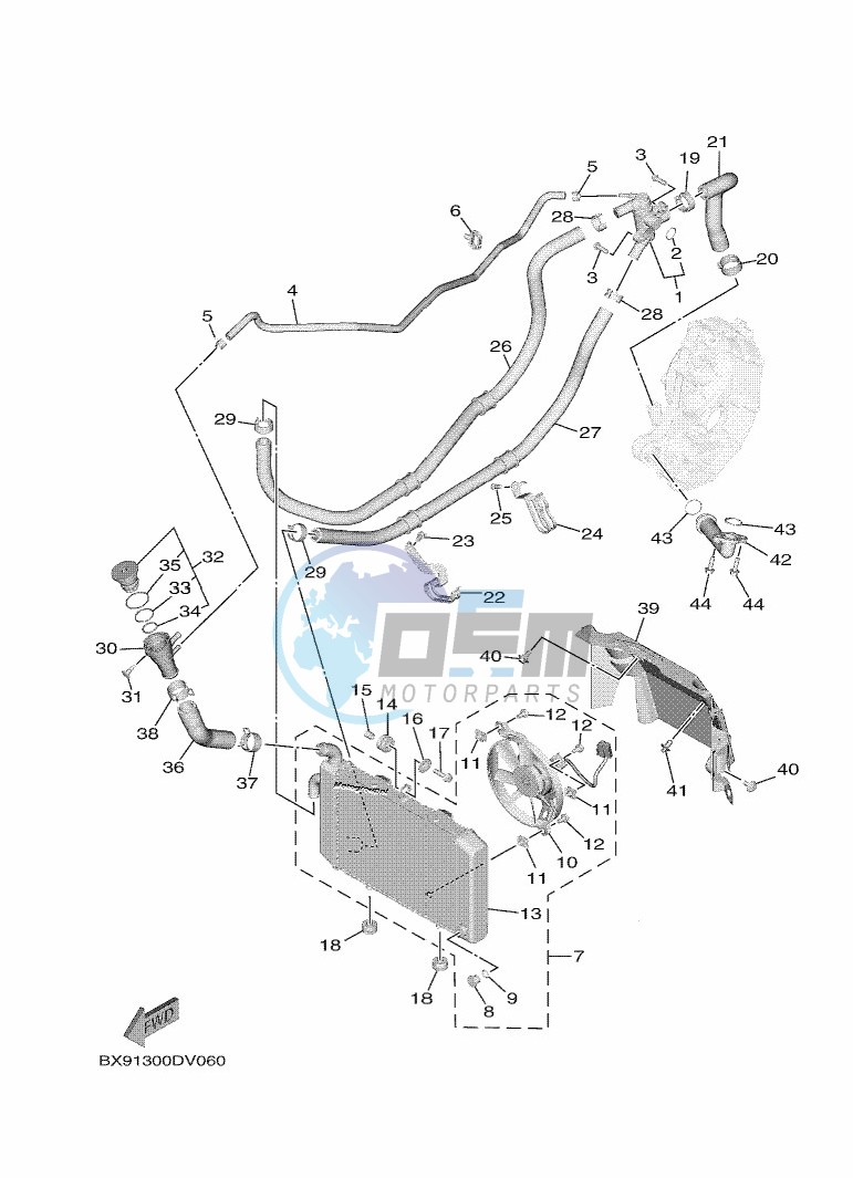 RADIATOR & HOSE