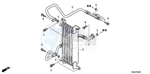 TRX500FAC drawing OIL COOLER