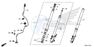 MSX125AH Europe Direct - (ED) drawing FRONT FORK