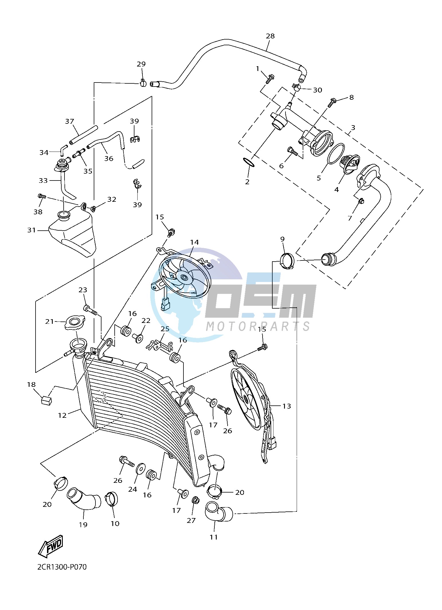 RADIATOR & HOSE