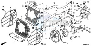 TRX500FPMD TRX500FPM Australia - (U) drawing RADIATOR