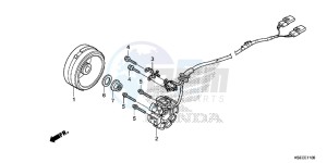 CRF150RE CRF150R Europe Direct - (ED) drawing GENERATOR