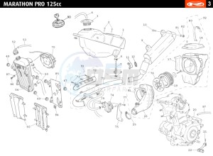 MARATHON-125-PRO-WHITE drawing HOSE CONNEXIONS TANKS