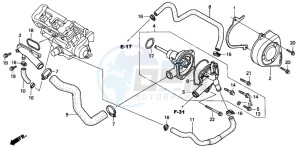 CB900F HORNET 900 drawing WATER PUMP