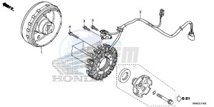 TRX500FM1G TRX500 Europe Direct - (ED) drawing GENERATOR