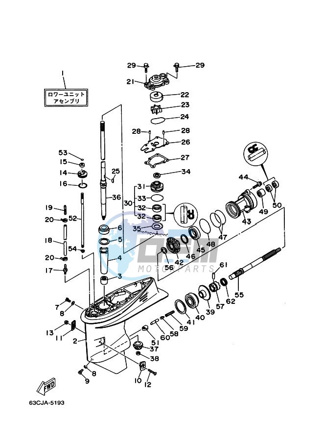 LOWER-CASING-x-DRIVE