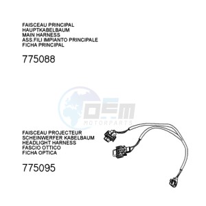 FIGHT 4 50 2T PURE drawing PLUG WIRING HARNESS