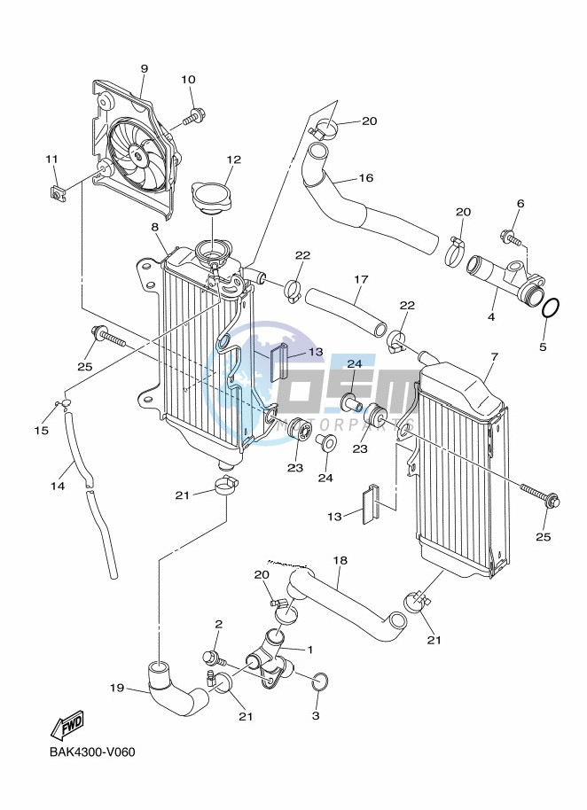 RADIATOR & HOSE