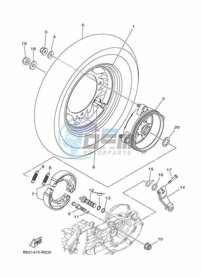 RADIATOR & HOSE