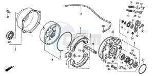 TRX400FW FOURTRAX FOREMAN drawing REAR BRAKE PANEL