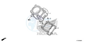 CBR125RF CBR125R 2ED - (2ED) drawing CYLINDER