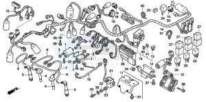 CB1300F1 CB1300SUPER FOUR drawing WIRE HARNESS/IGNITION COI L (CB1300S/SA)