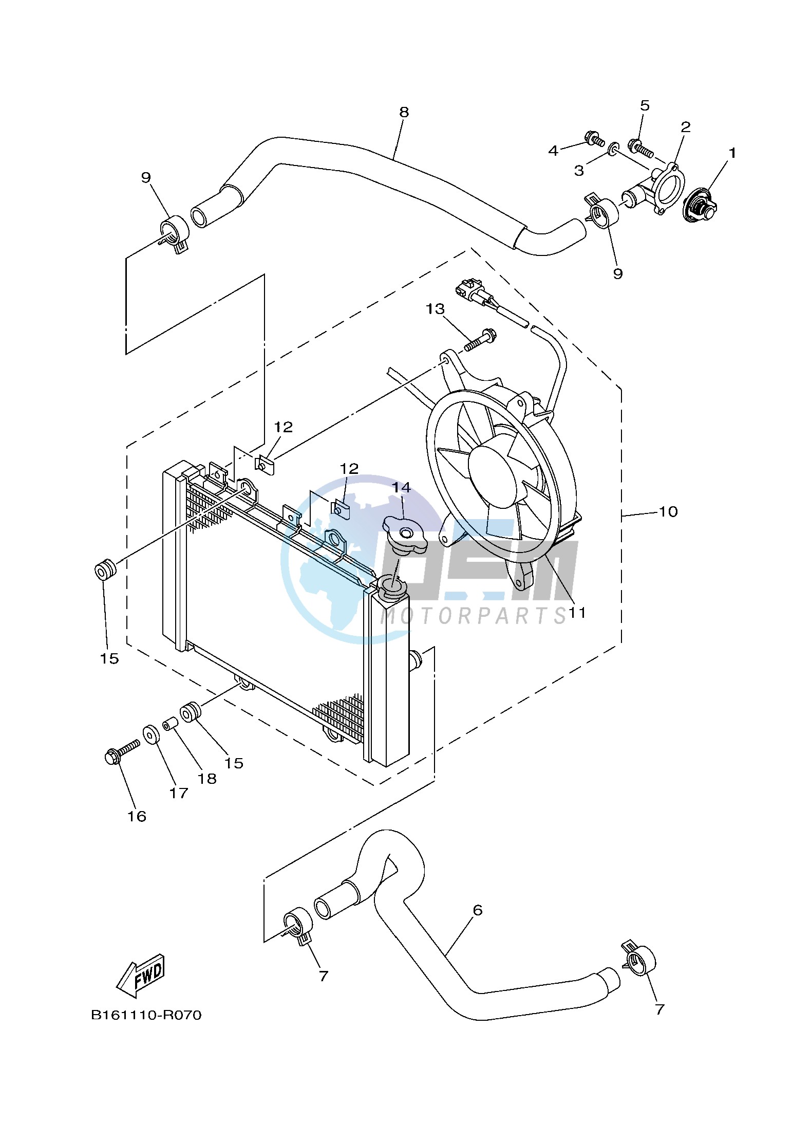 RADIATOR & HOSE