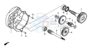 SFX50MM drawing TRANSMISSION