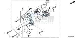 GL1800C drawing WATER PUMP