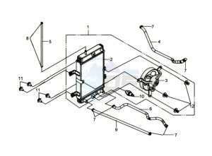 GTS 125 EVO drawing RADIATOR