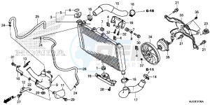 NC750JH Europe Direct - (ED) drawing RADIATOR