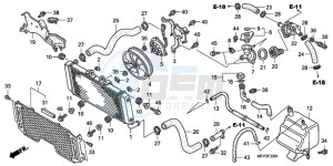 CB1300A9 Europe Direct - (ED / ABS MME TWO) drawing RADIATOR (CB1300A/CB1300S A)