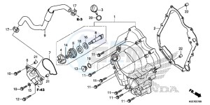 SH300AG TRX250T Europe Direct - (ED) drawing RIGHT CRANKCASE COVER/ WATER PUMP