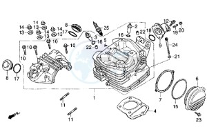 Cougar 125 drawing Head