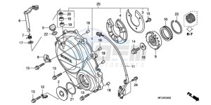 CB600FA France - (F / CMF) drawing RIGHT CRANKCASE COVER