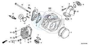 CRF50FD CRF50F Europe Direct - (ED) drawing CYLINDER HEAD COVER