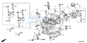 CRF250XD CRF250R Europe Direct - (ED) drawing CYLINDER HEAD