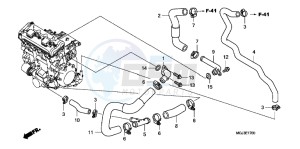 CBF1000FB drawing WATER PIPE