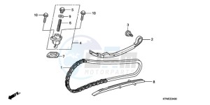 SH300A9 France - (F / ABS CMF) drawing CAM CHAIN