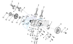 Tuono V4 1100 RR (USA-CND) USA-CND drawing Drive shaft